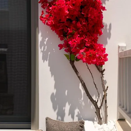 Sunsal Luxury - Earth Naoussa