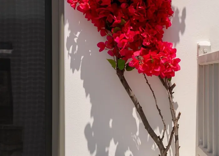 Sunsal Luxury - Earth Naousa